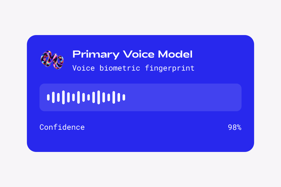 Voice biometric fingerprint detail